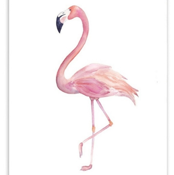 cathflamingo